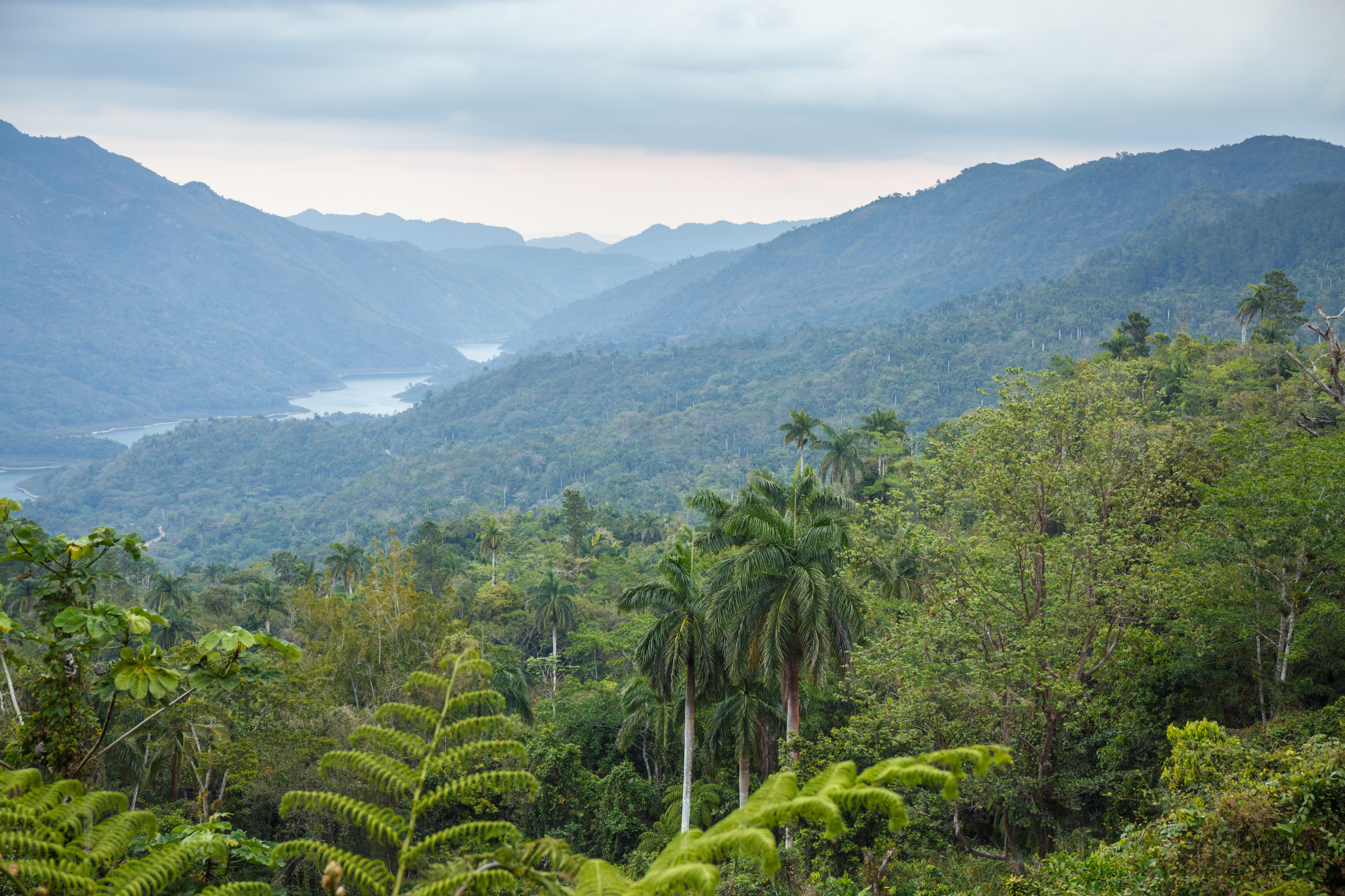 sierra maestra 02.webp